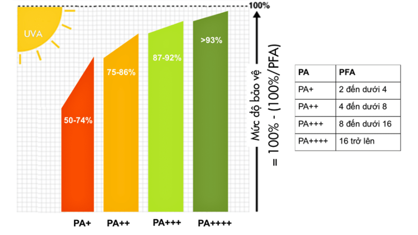 PA đo lường khả năng của kem chống nắng trong việc bảo vệ da khỏi tác động của tia UVA.