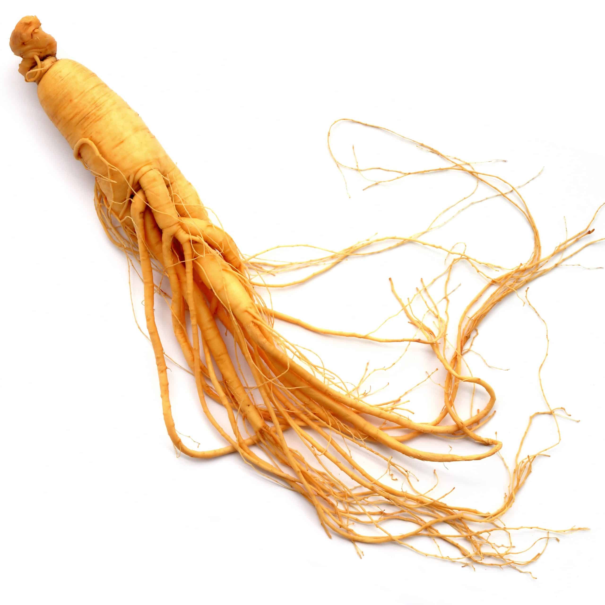 Tinh chất nhân sâm cao cấp