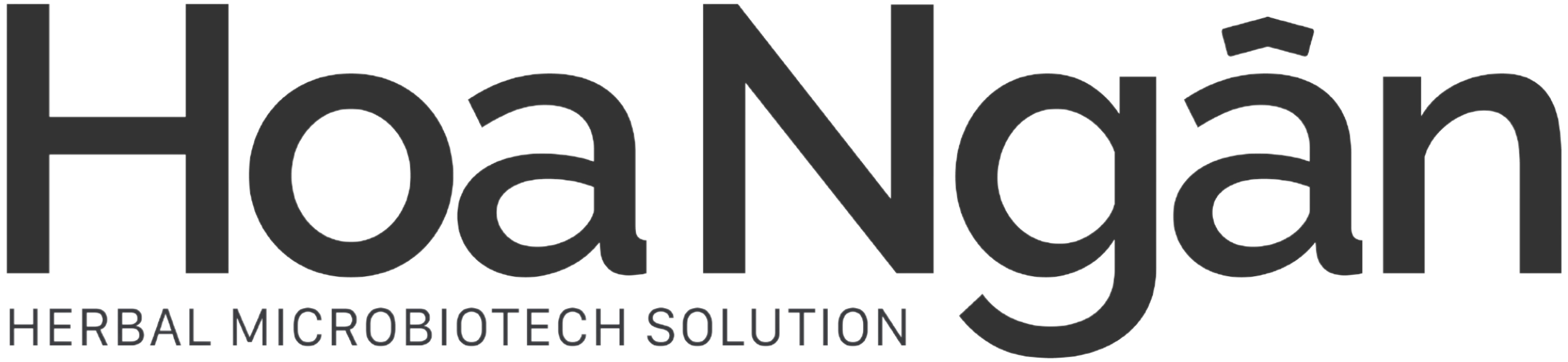 Logo Hoa Ngân màu xám sang trọng